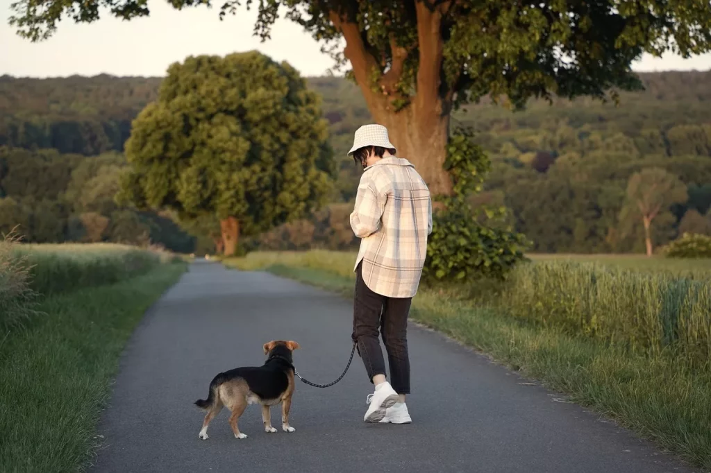 martina flocken -spaziergang mit hund -hundefitness -hundephysio
