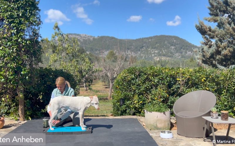 Zwei aktive Übungen beim Kreuzbandriss zum Nachmachen