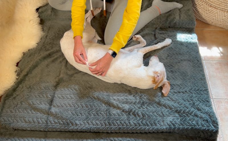 Verspannungen lockern mit Massage – Knetungen (incl. Video)