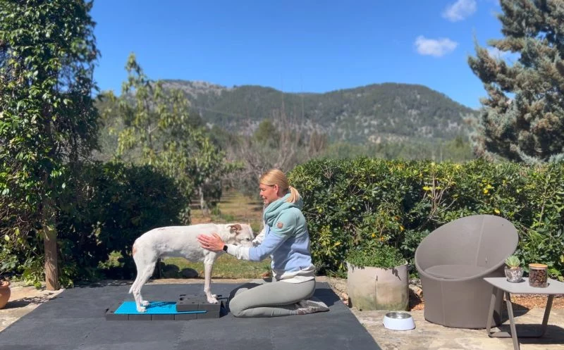 martina flocken - doggy fitness - hundephysio - hundefitness - cauda equina compressions syndrom isometrie als allroundübung