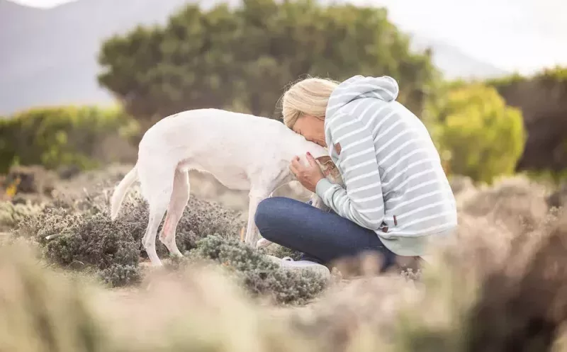Mein Leben mit einem Handicap-Hund – besonders und bereichernd