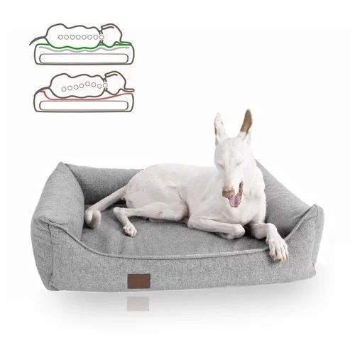 Was ein orthopädisches Hundebett bewirkt! – Doggyfit
