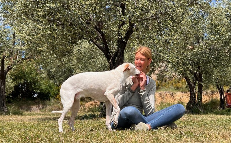 Verstauchung beim Hund – Symptome erkennen und richtig handeln