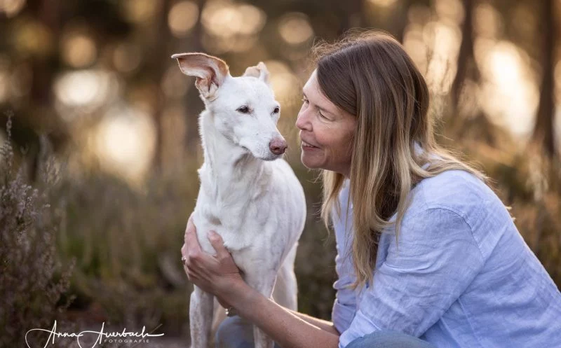 Alter Hund – 7 Dinge, mit denen du ihn im Alltag unterstützt