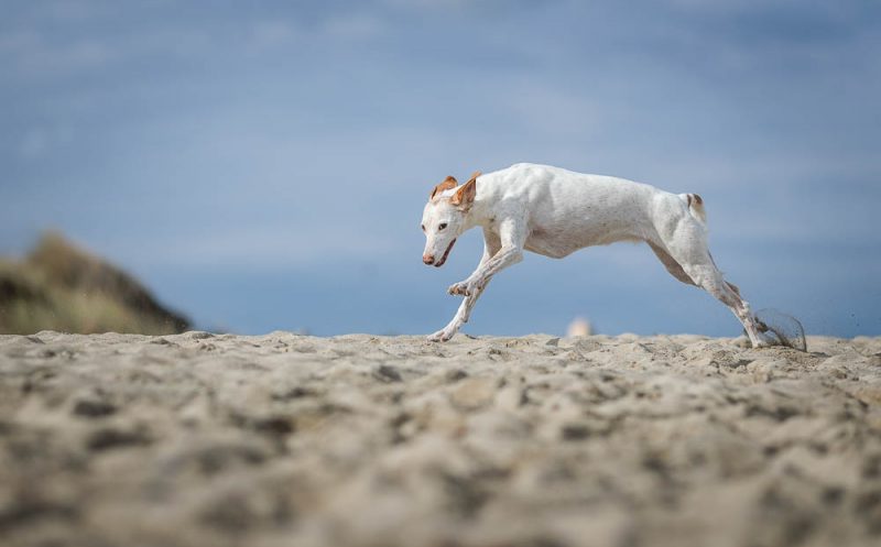 Seniorengerechte Bewegung – DAS solltest du unbedingt beachten!