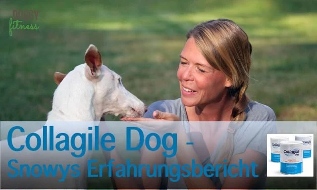 Kollagenpeptide für den Hund – Unsere Erfahrung mit Collagile Dog