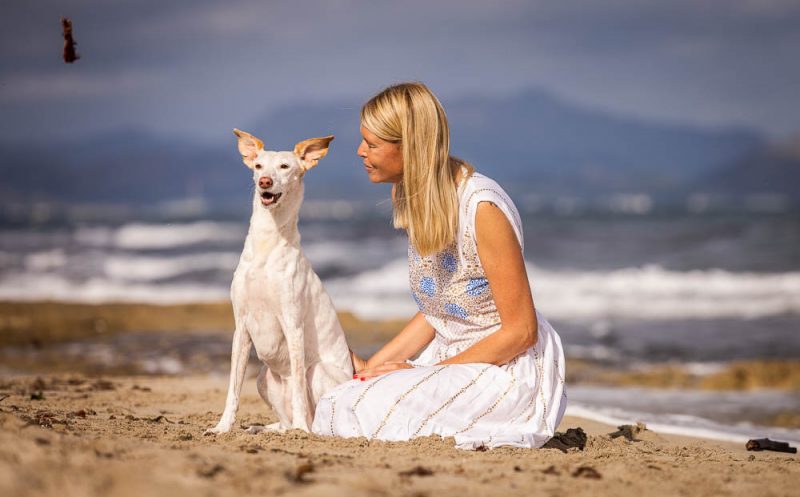 4 hilfreiche Tipps um Gelenkprobleme beim Hund vorzubeugen – Teil II