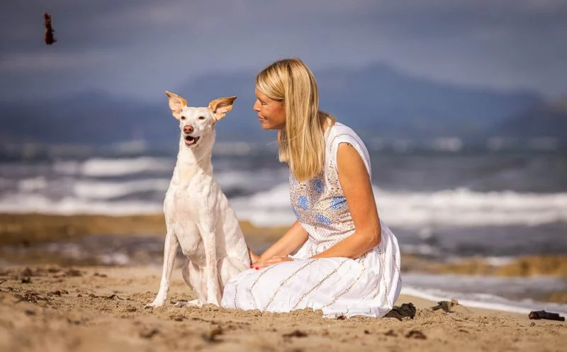 4 hilfreiche Tipps um Gelenkprobleme beim Hund vorzubeugen – Teil II