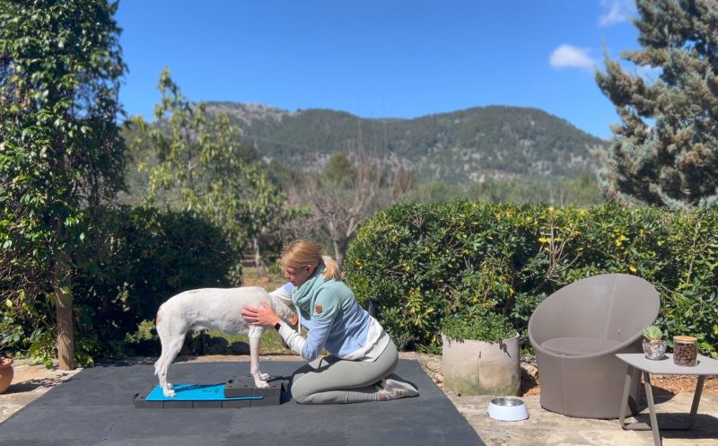 Aus dem Nähkästchen geplaudert – mein Weg zur Hundephysio