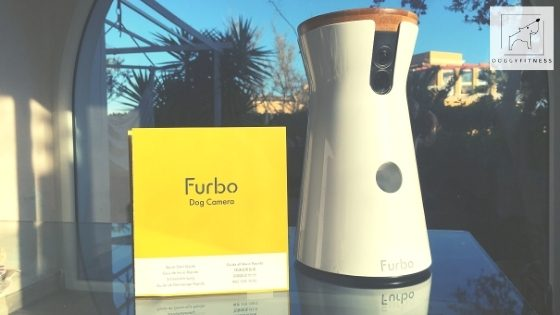 furbo doggy fitness kamera u anleitung