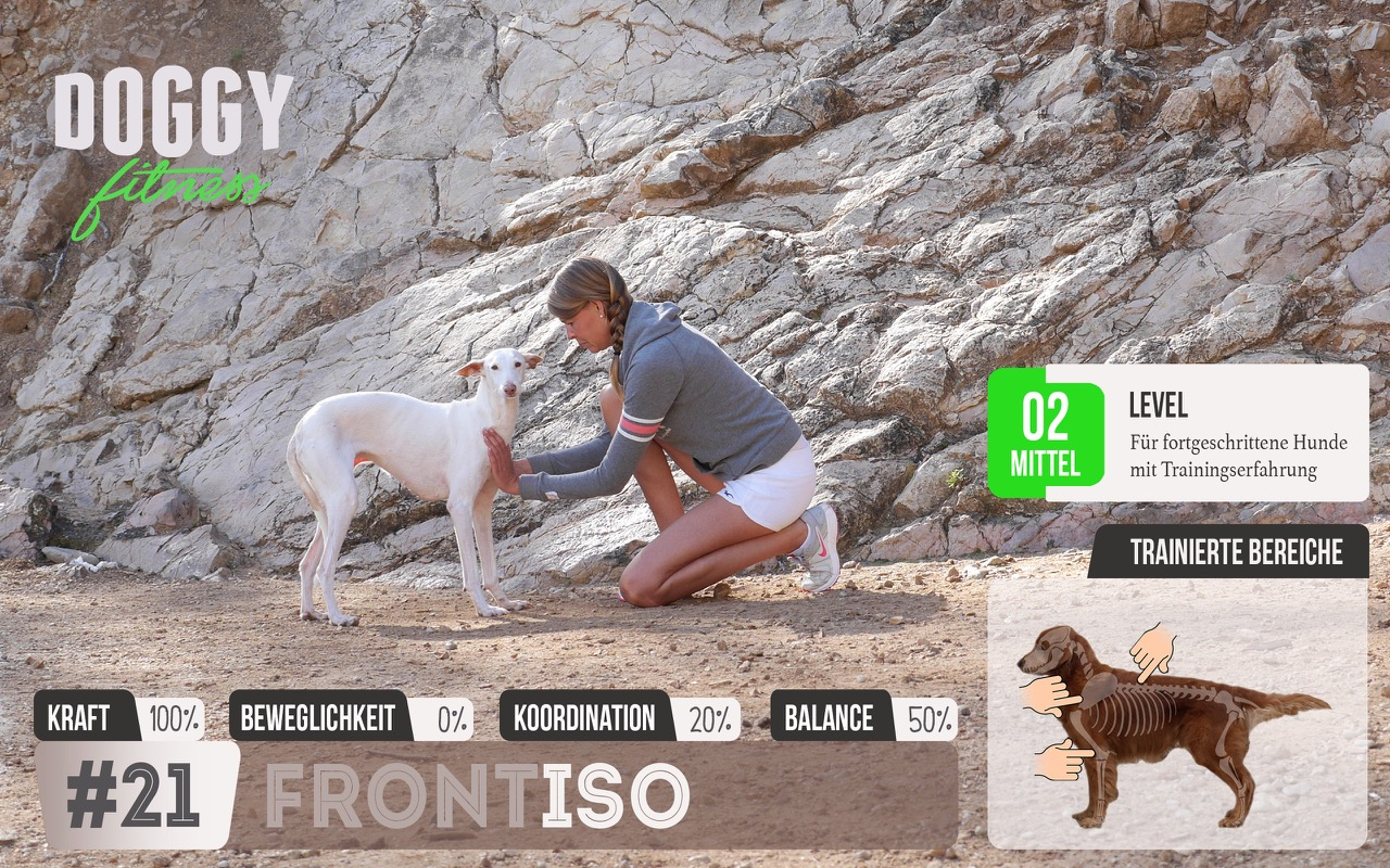 Isometrisches Training für die Vorderläufe & Schultern