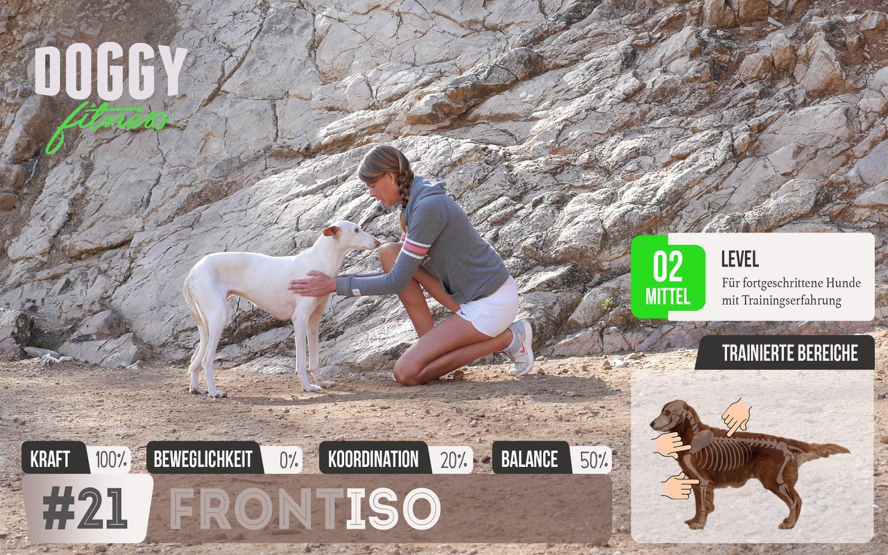 Isometrisches Training für die Vorderläufe & Schultern