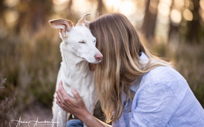 So kannst du als Hundehalter deinen Hund nach einem Bänderriss gezielt unterstützen!