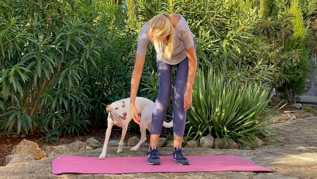 martina - flocken doggy fitness - rückentraining für hunde - hundephysiotherapie - hundefitness -K9 Umrunden a