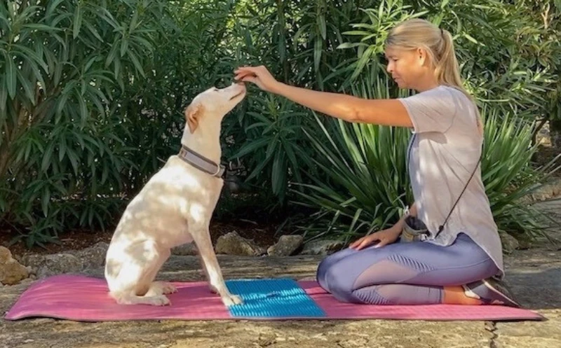 martina - flocken doggy fitness - rückentraining für hunde - hundephysiotherapie - hundefitness