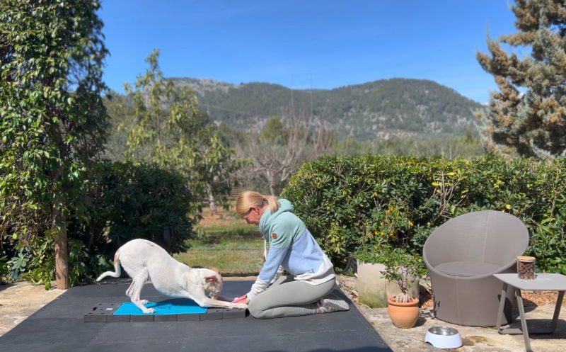 Muskelaufbau bei neurologischen Erkrankungen – so funktioniert er richtig – und was häufig falsch gemacht wird!