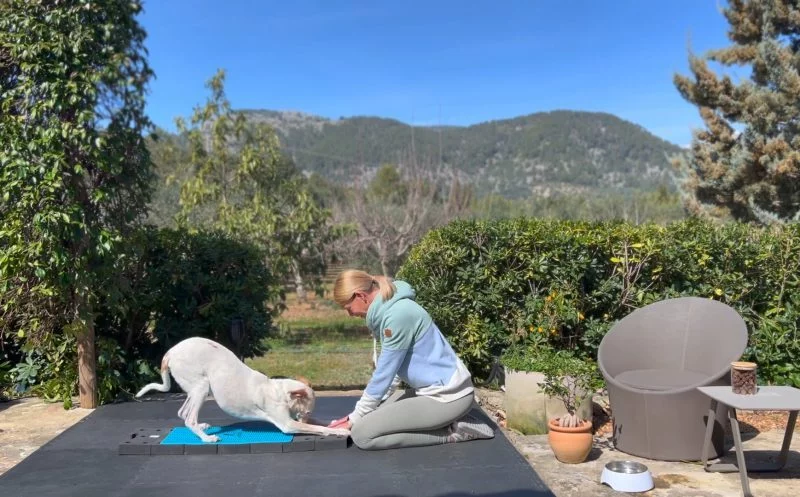 Muskelaufbau bei neurologischen Erkrankungen – so funktioniert er richtig – und was häufig falsch gemacht wird!