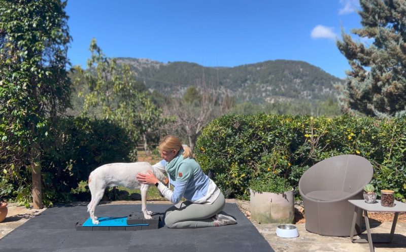 Isometrisches Training zur Stressreduktion – stressige Situationen meistern