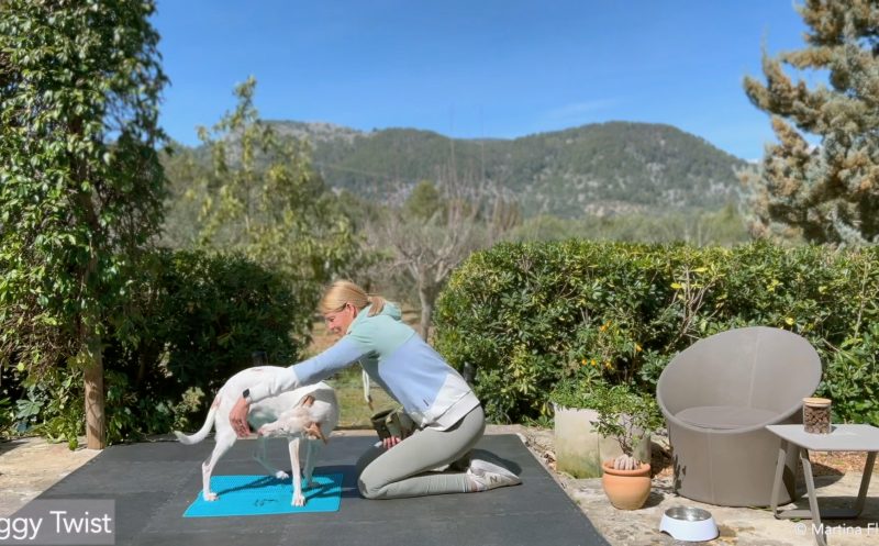 martina flocken - doggy fitness - hundephysio - hundefitness - bewegungstraining beim junghund 2 aktive Übungen für ein gutes körpergefühl und koordination