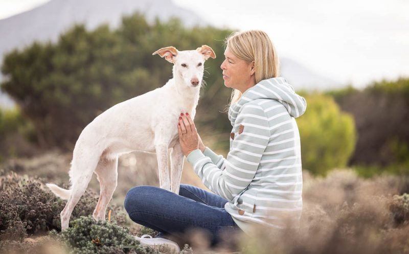martina flocken - doggy fitness - hundephysio - hundefitness - methylsulfonylmethan msm – nahrungsergänzungsmittel für die gelenke deines hundes