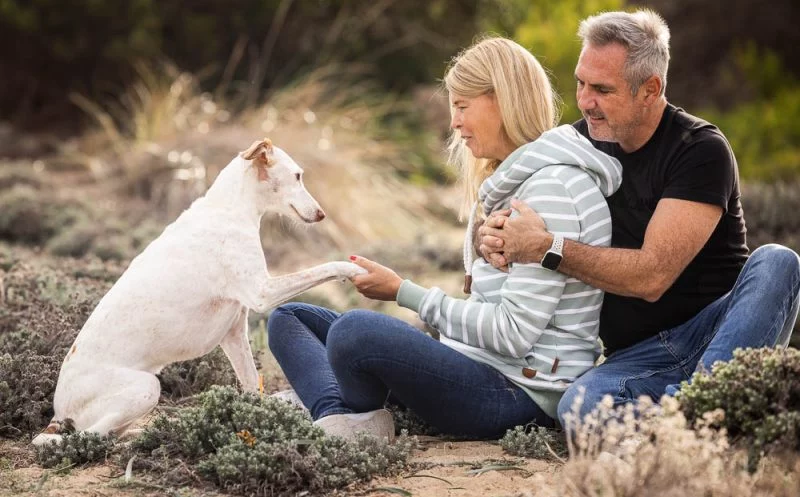 Morbus Legg-Calvé-Perthes beim Hund – Behandlungsmöglichkeiten, Physiotherapie und Tipps, wie du die Genesung aktiv unterstützen kannst