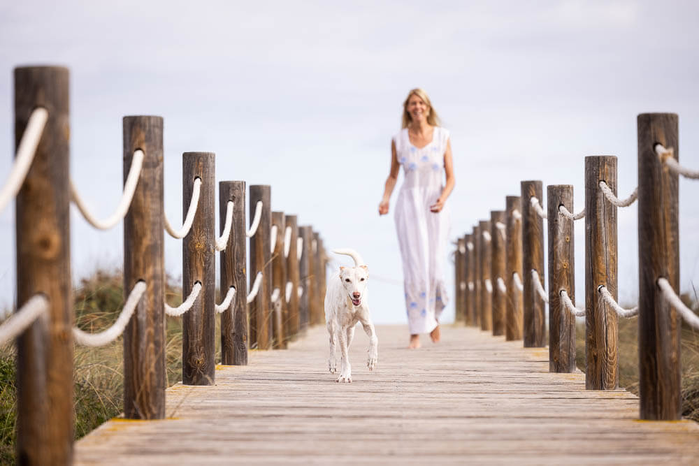 martina flocken - doggy fitness - hundephysio - hundefitness - martina flocken geht mit hund entspannt am strand auf steg spazieren