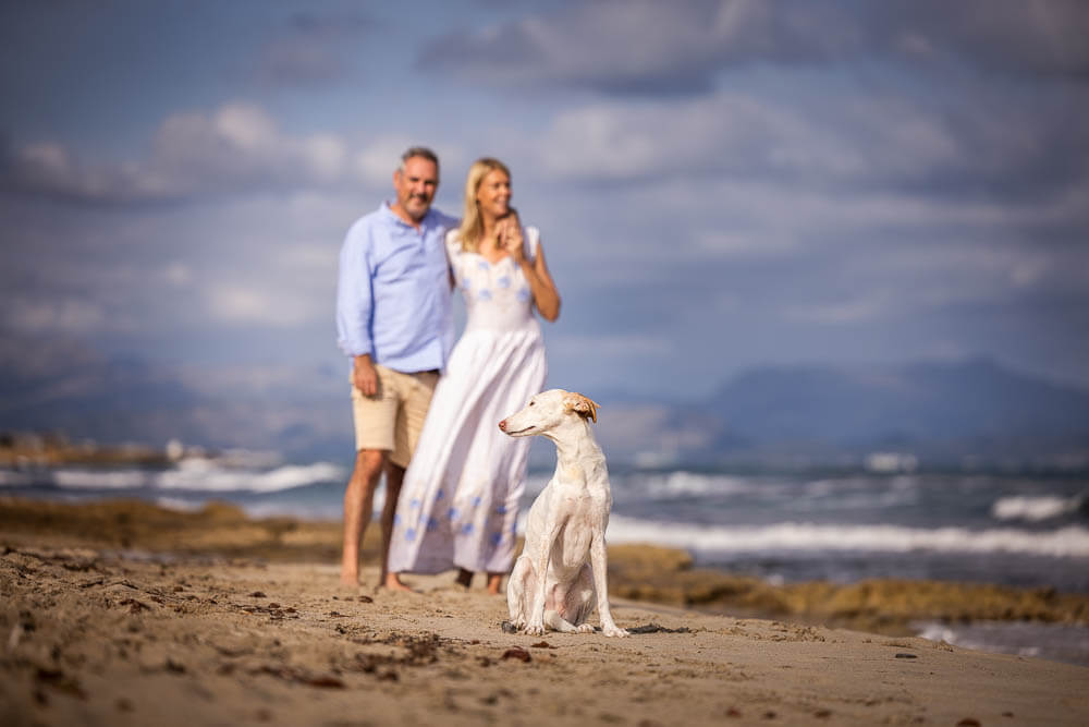 martina flocken - doggy fitness - hundephysio - hundefitness - hund sitzt am strand, martina flocken steht mit partner im hintergrund