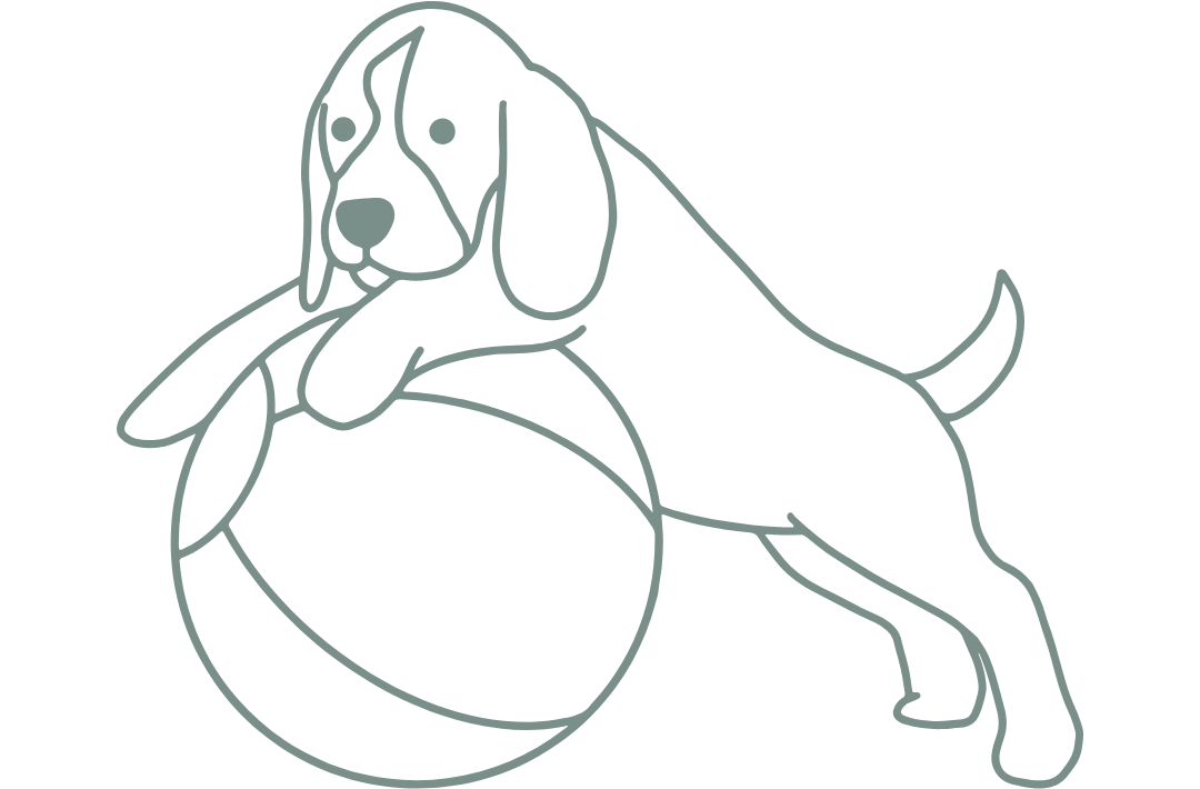 ArthroseFIT,Hund,Arthrose