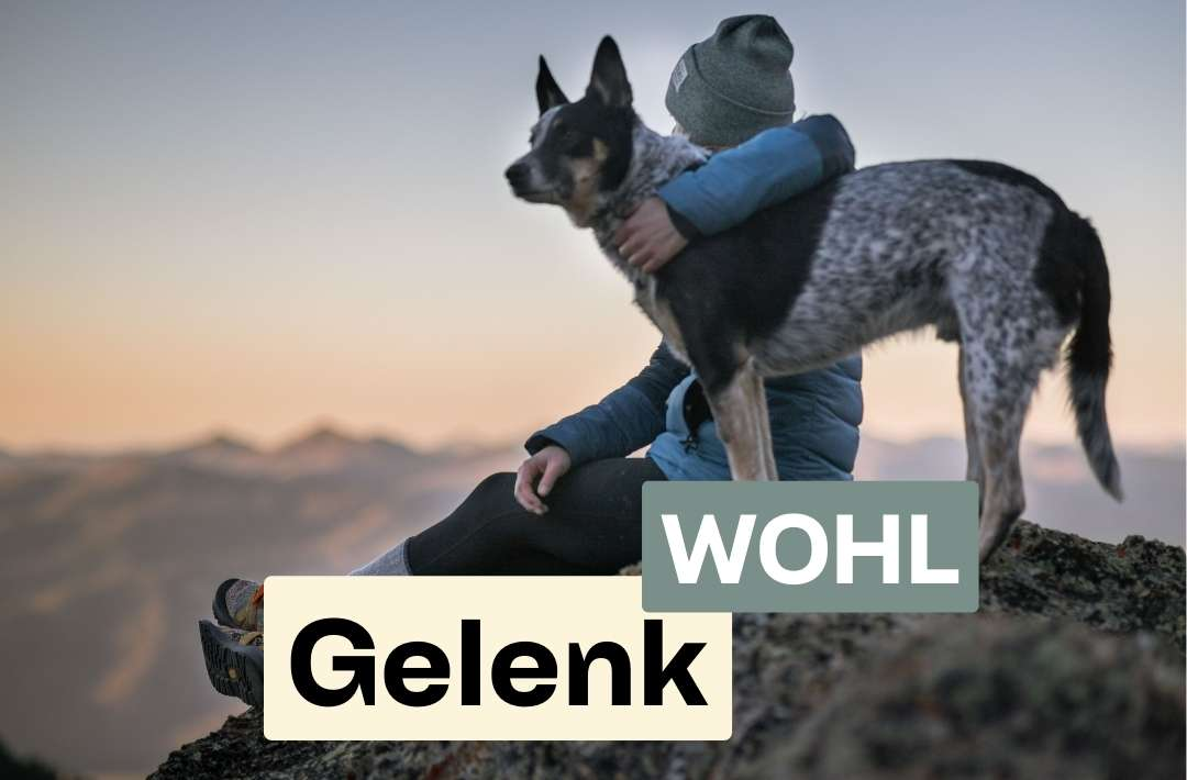 Doggy Fitness,Hundephysiotherapie,Hundefitnesstraining,Online-Kurse,Hundegesundheit,Hundephysiotherapeutin,Hundemassage,Gelenkerkrankungen,Seniorhunde,Hundefitness App,Martina Flocken,Phytotherapie,Mykotherapie,Bewegungsapparat,Hundetraining