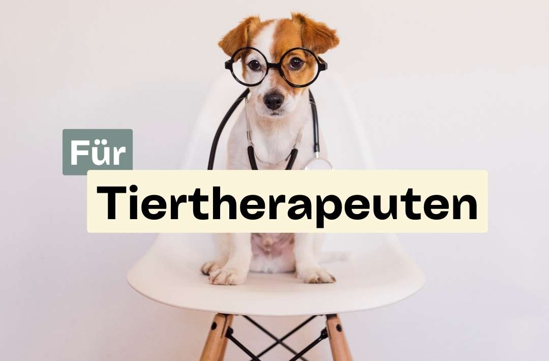 Doggy Fitness,Hundephysiotherapie,Hundefitnesstraining,Online-Kurse,Hundegesundheit,Hundephysiotherapeutin,Hundemassage,Gelenkerkrankungen,Seniorhunde,Hundefitness App,Martina Flocken,Phytotherapie,Mykotherapie,Bewegungsapparat,Hundetraining