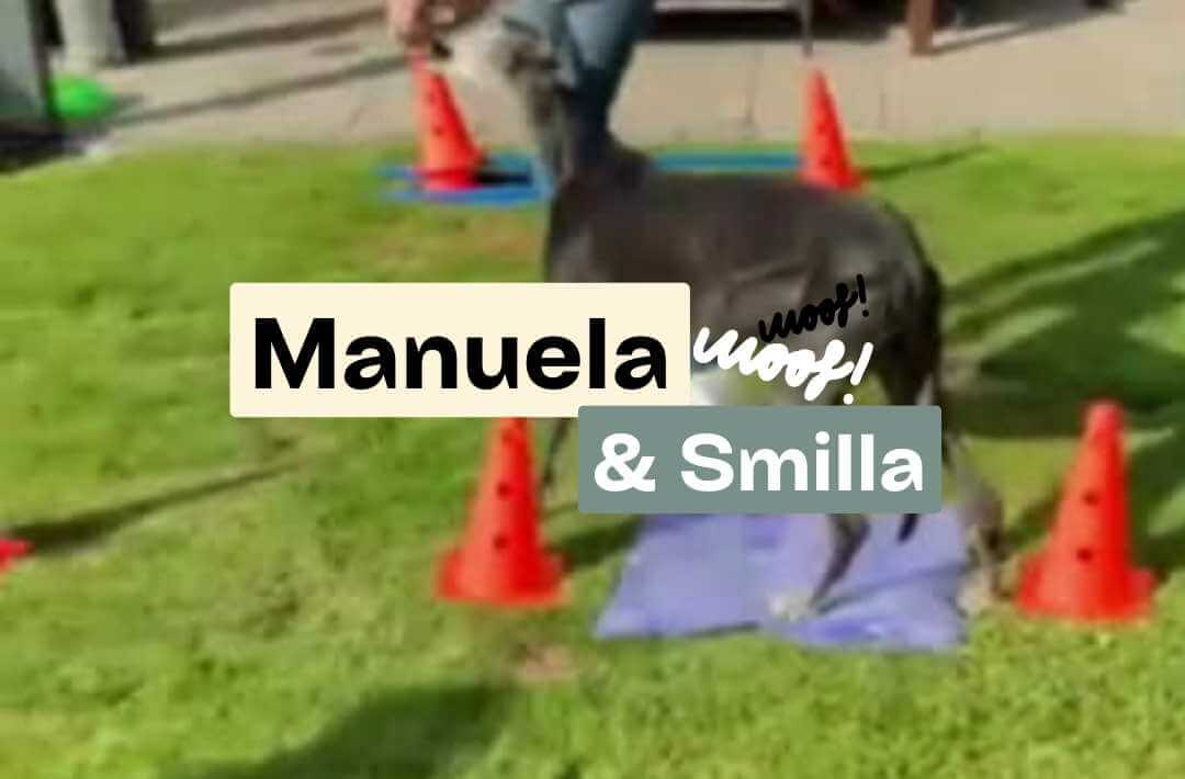 ArthroseFIT,Hund,Arthrose