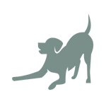 ArthroseFIT,Hund,Arthrose