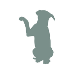 ArthroseFIT,Hund,Arthrose