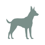 ArthroseFIT,Hund,Arthrose