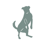 ArthroseFIT,Hund,Arthrose