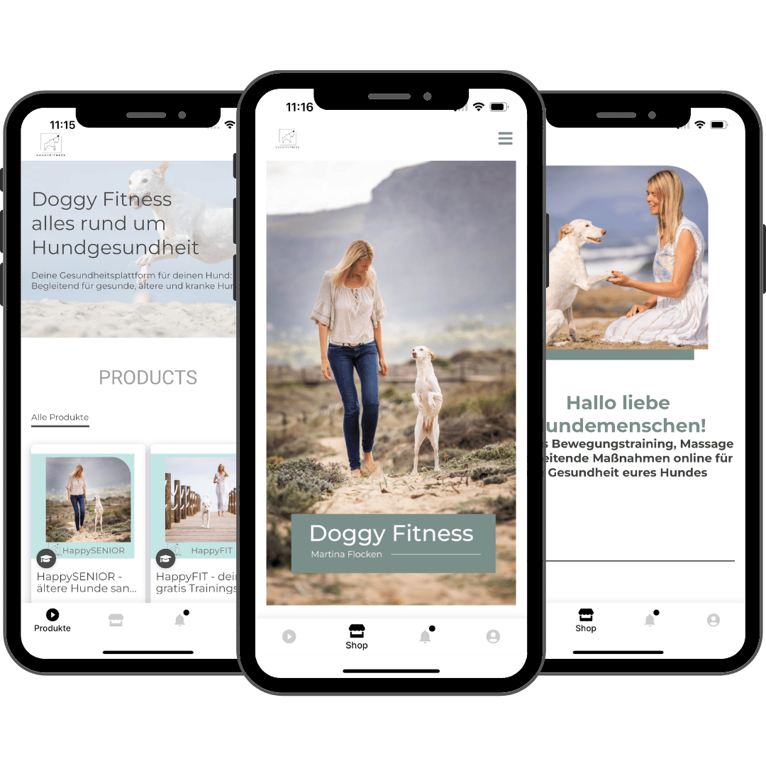 ArthroseFIT,Hund,Arthrose