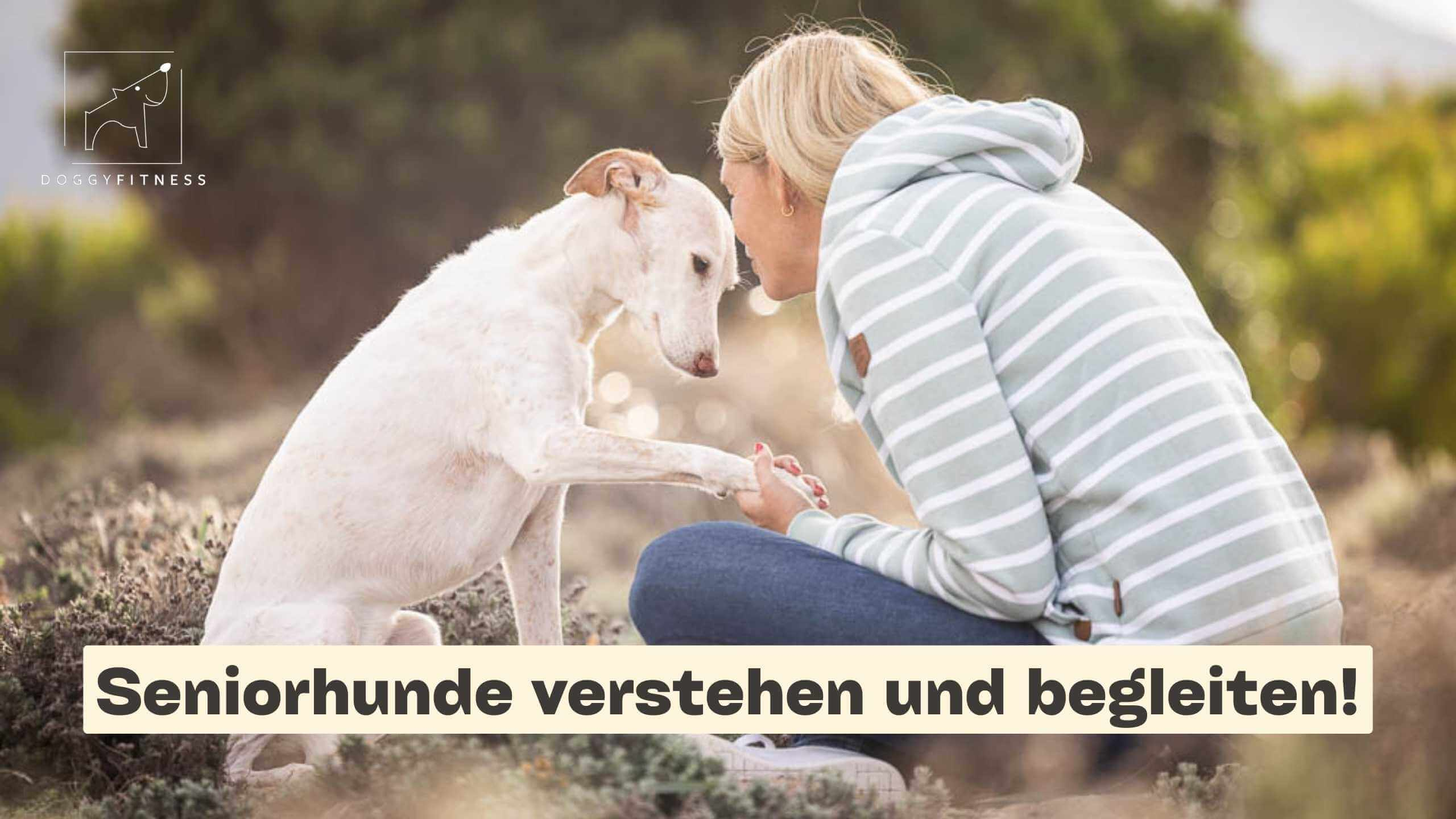 doggy fitness - martina flocken - hundefitness - hundephysio - gratis webinar - seniorhund verstehen und begleiten - banner
