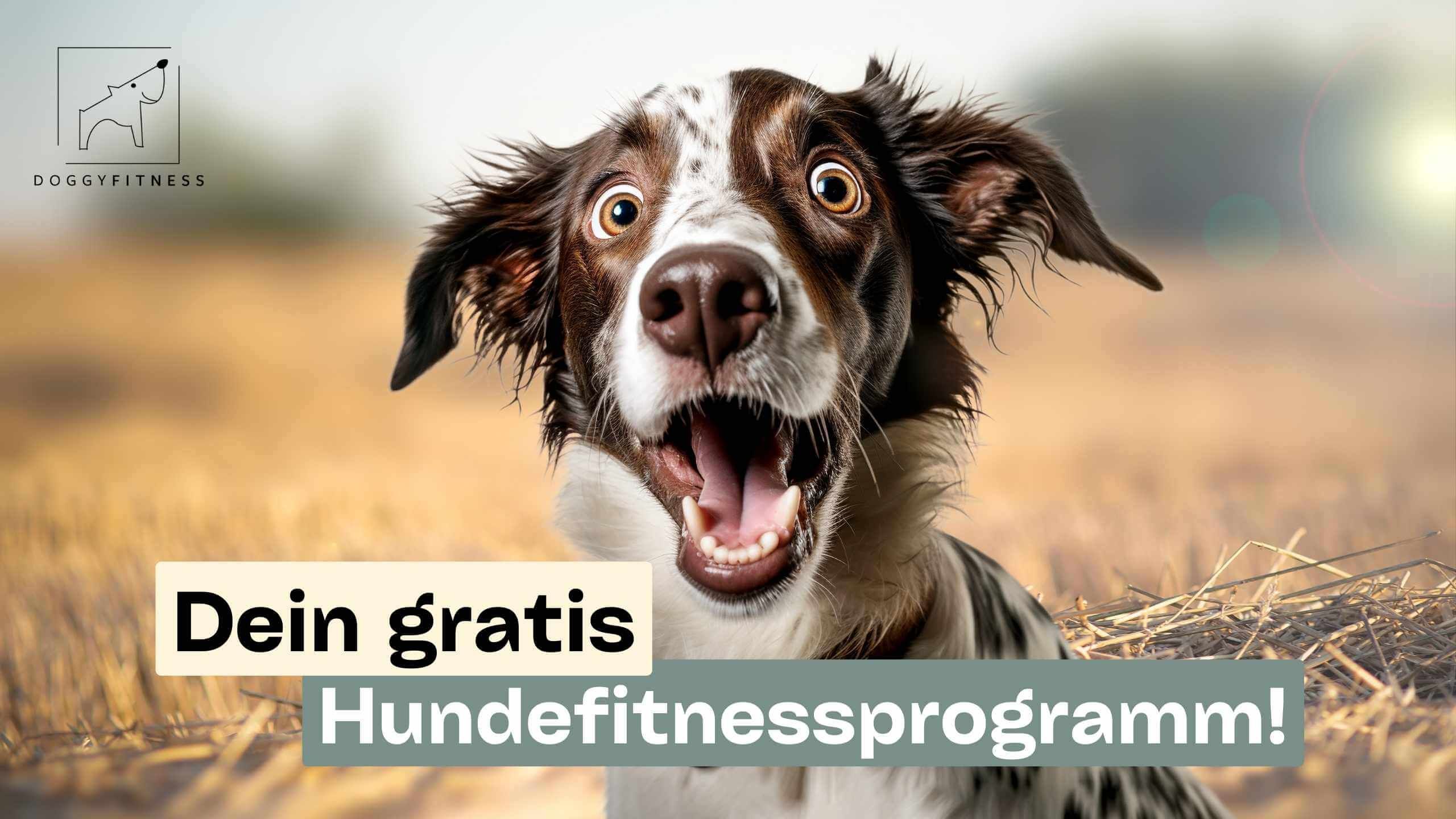 doggy fitness - martina flocken - hundefitness - hundephysio - gratis online kurs für fitnesstraining für hundegratis - happyfit - banner