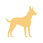 martina flocken - doggy fitness - hundephysio - hundefitness - grafik hund steht auf vier beinen in seitansicht