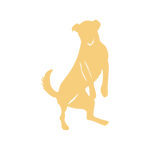 martina flocken - doggy fitness - hundephysio - hundefitness - grafik hund steht auf hinterbeinen und hebt vorderpfoten