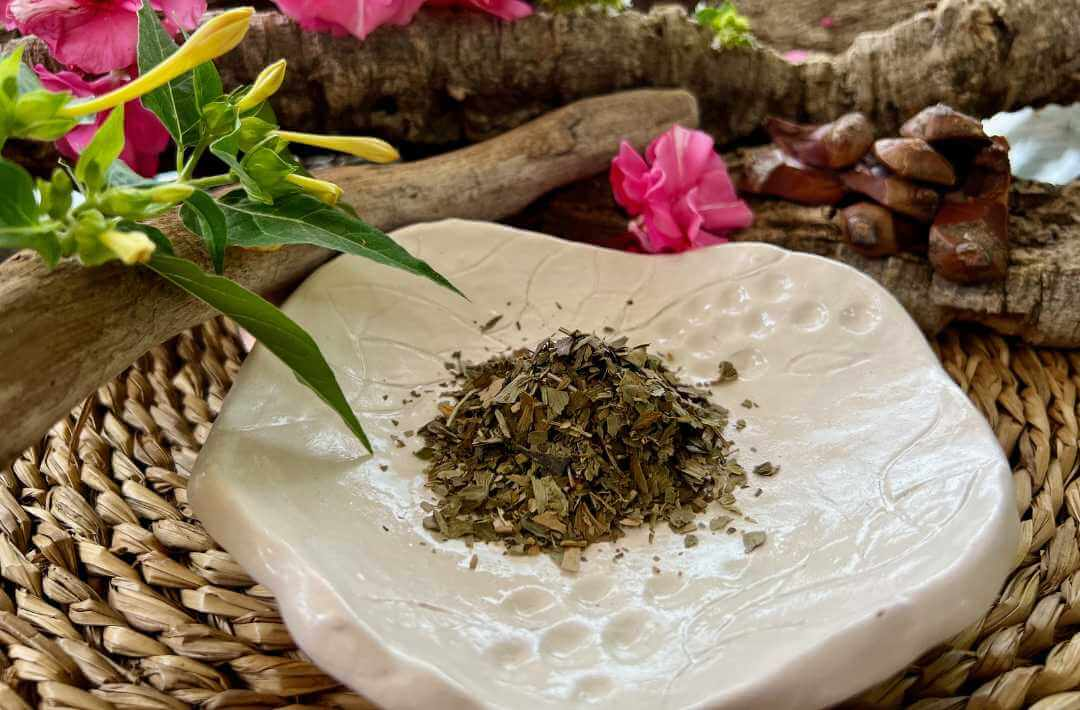 martina flocken - doggy fitness - hundephysio - hundefitness - getrocknete kräuter auf teller naturheilkunde für hunde