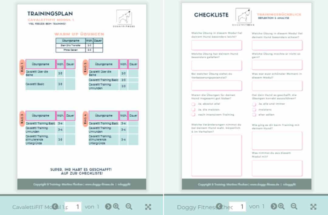 martina flocken - doggy fitness - hundephysio - hundefitness - cavaletti trainingsplan und reflektions-checkliste für hundetraining
