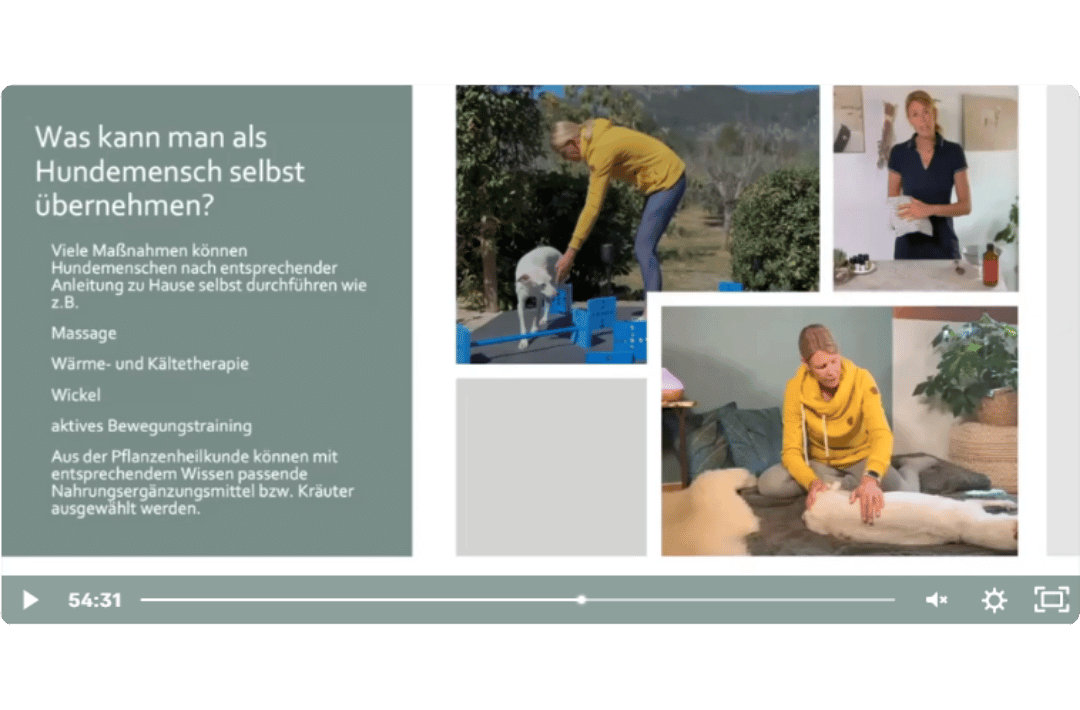 martina flocken - doggy fitness - hundephysio - hundefitness - präsentationsfolie mit hundetraining, kräuteranwendung und hundemassage
