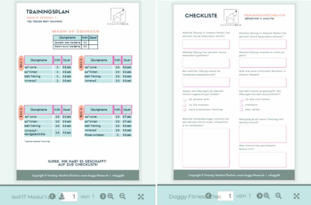 martina flocken - doggy fitness - hundephysio - hundefitness - isofit onlinekurs übungsanleitungen pdf cover mit hund beim isometrischen training auf airtrack matte im garten