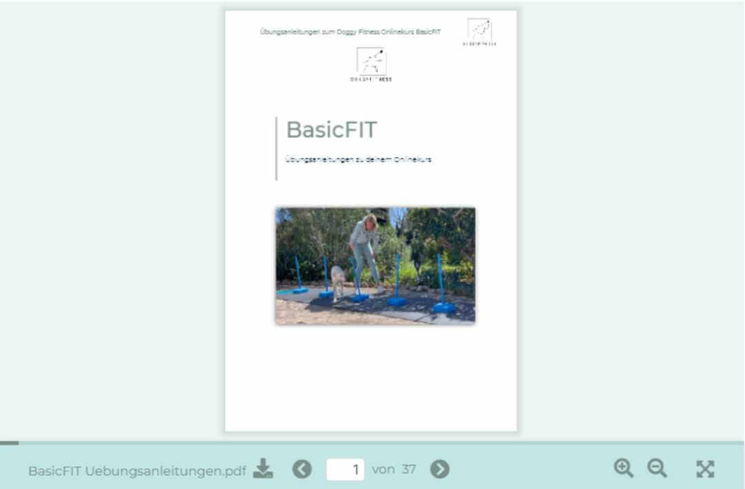 martina flocken - doggy fitness - hundephysio - hundefitness - basicfit onlinekurs übungsanleitungen pdf cover mit hund beim slalomtraining im garten