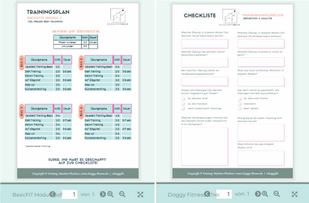 martina flocken - doggy fitness - hundephysio - hundefitness - basicfit onlinekurs trainingsplan und checklisten pdf mit übungen für balance koordination und muskelaufbau beim hund