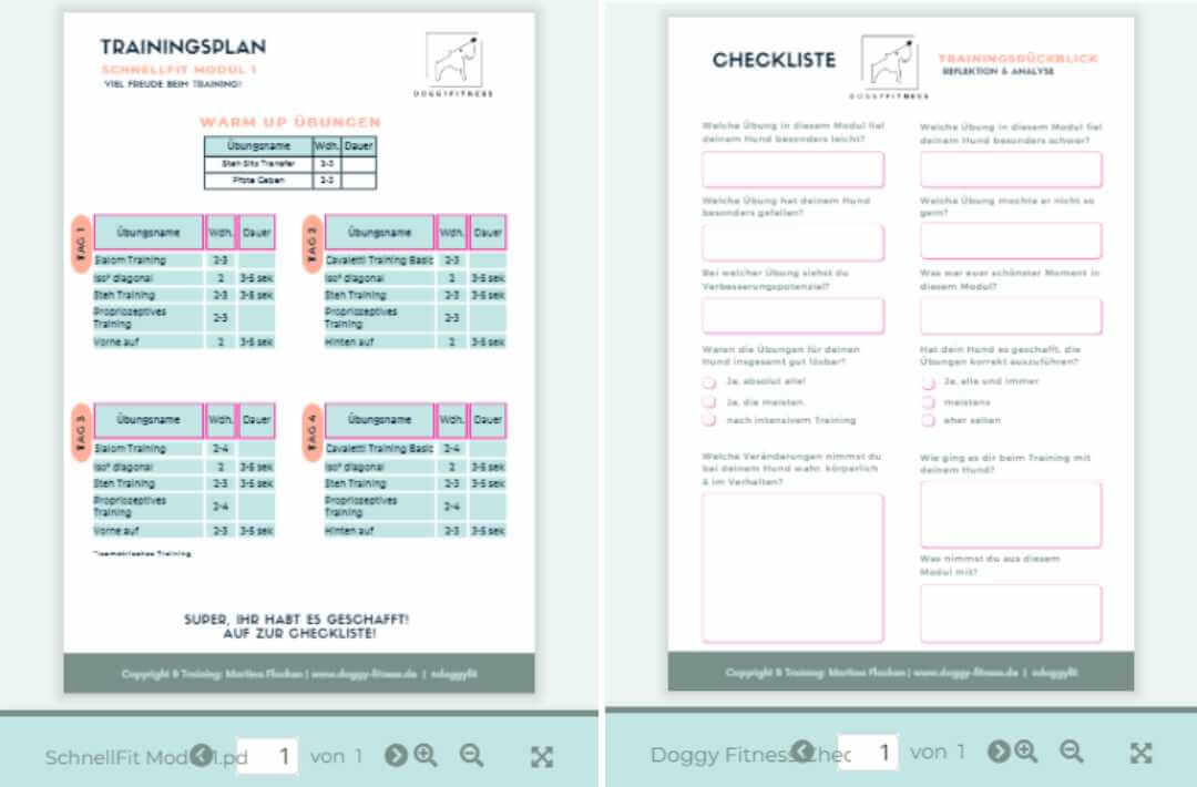 martina flocken - doggy fitness - hundephysio - hundefitness - schnellfit onlinekurs trainingsplan und checklisten pdf mit übungen für koordination und hindernistraining beim hund