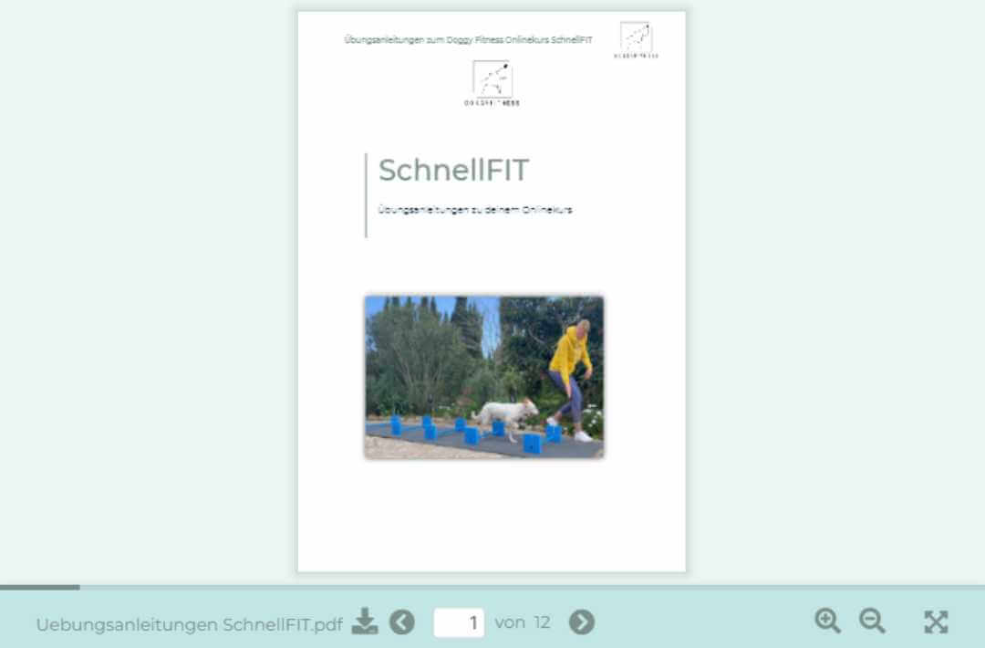 martina flocken - doggy fitness - hundephysio - hundefitness - schnellfit onlinekurs übungsanleitungen pdf cover mit hund beim training über hindernisse im garten