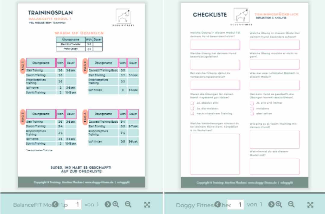 martina flocken - doggy fitness - hundephysio - hundefitness - balancefit onlinekurs trainingsplan und checklisten pdf mit übungen für balance, muskelaufbau und koordination beim hund
