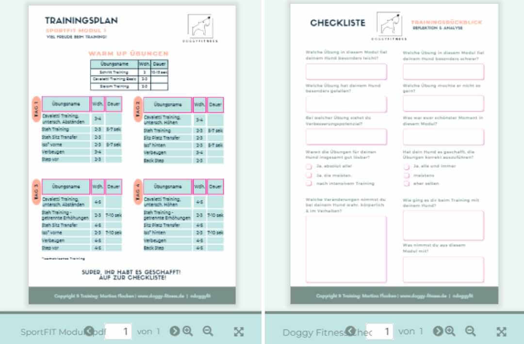 martina flocken - doggy fitness - hundephysio - hundefitness - sportfit trainingsplan und checkliste – strukturierter wochenplan für hundetraining mit reflektion & analyse